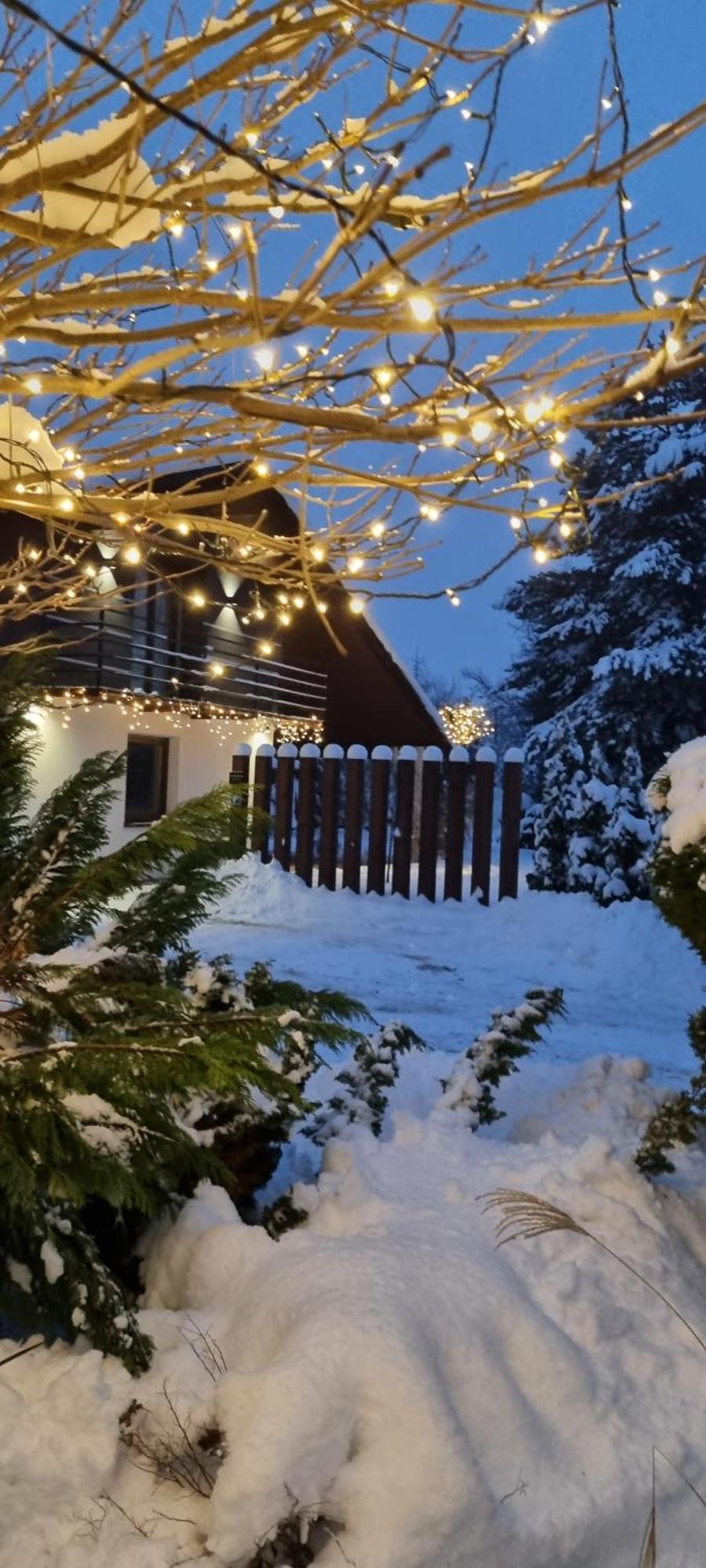 Apartament Willa Pod Sosnami Zator Przeciszow المظهر الخارجي الصورة